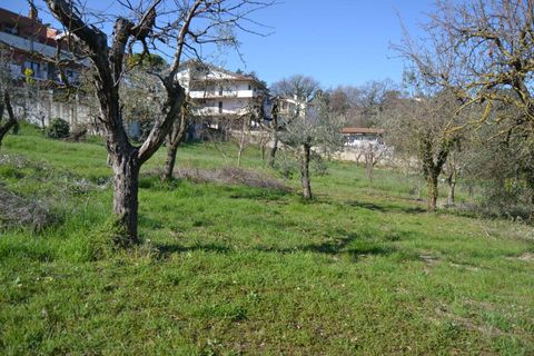 Tomt i Stroncone, Terni, Stroncone - € 59 000 | Ref: 35 - foto 46