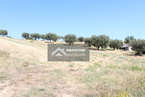 Helårsgrund i Colonnella, Teramo, Colonnella - € 175.000 | Ref: 180 - foto 10