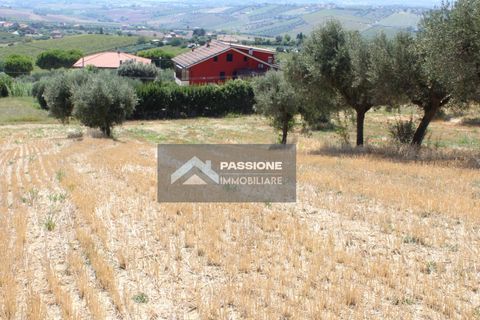 Helårsgrund i Colonnella, Teramo, Colonnella - € 175.000 | Ref: 180 - foto 11