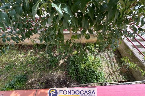 Apartment in Offida, Ascoli Piceno, Offida - € 139,000 | Ref: 467 - photo 31