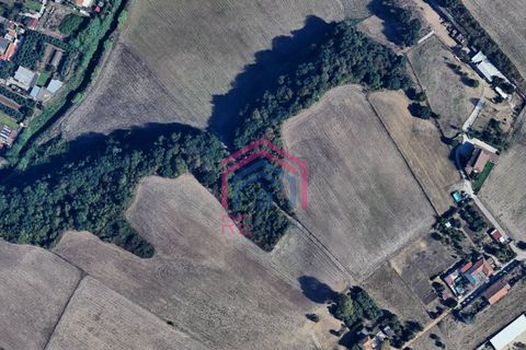 Helårsgrund i Ardea, Rome, Ardea - € 35.000 | Ref: 1001-116 - foto 1