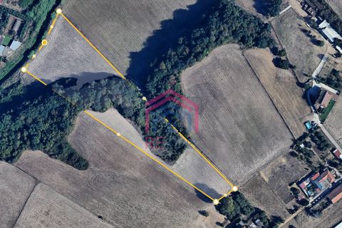 Helårsgrund i Ardea, Rome, Ardea - € 35.000 | Ref: 1001-116 - foto 2