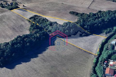 Helårsgrund i Ardea, Rome, Ardea - € 35.000 | Ref: 1001-116 - foto 3