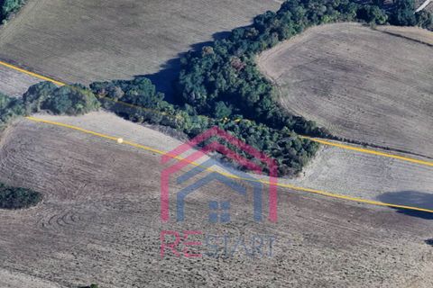 Helårsgrund i Ardea, Rome, Ardea - € 35.000 | Ref: 1001-116 - foto 4