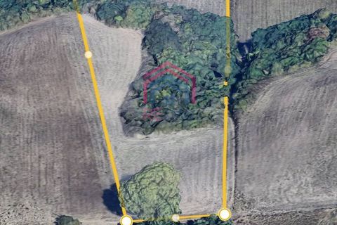 Helårsgrund i Ardea, Rome, Ardea - € 35.000 | Ref: 1001-116 - foto 5