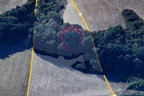 Helårsgrund i Ardea, Rome, Ardea - € 35.000 | Ref: 1001-116 - foto 6