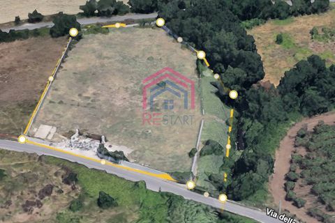 Helårsgrund i Ardea, Rome, Ardea - € 70.000 | Ref: 1001-667 - foto 2