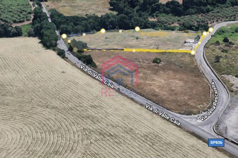 Helårsgrund i Ardea, Rome, Ardea - € 70.000 | Ref: 1001-667 - foto 3