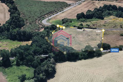 Helårsgrund i Ardea, Rome, Ardea - € 70.000 | Ref: 1001-667 - foto 5