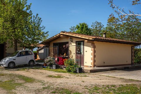Villa a Grosseto, Grosseto, Grosseto - € 690.000 | Ref: 1004-790Castiglione - foto 23