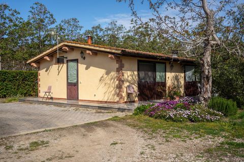 Villa a Grosseto, Grosseto, Grosseto - € 690.000 | Ref: 1004-790Castiglione - foto 24