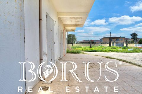 Villa a Castel Volturno, Caserta, Castel Volturno - € 169.000 | Ref: BR1172 - foto 4