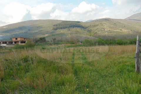 Terra a Quadrelle, Avellino, Quadrelle - € 450.000 | Ref: 8426 - foto 2