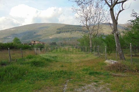 Terra a Quadrelle, Avellino, Quadrelle - € 450.000 | Ref: 8426 - foto 3