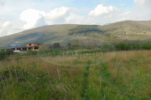 Terra a Quadrelle, Avellino, Quadrelle - € 450.000 | Ref: 8426 - foto 5