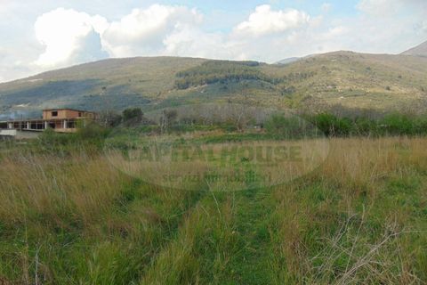 Terra a Quadrelle, Avellino, Quadrelle - € 450.000 | Ref: 8426 - foto 6