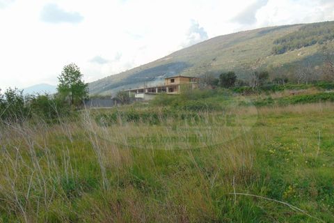 Terra a Quadrelle, Avellino, Quadrelle - € 450.000 | Ref: 8426 - foto 7