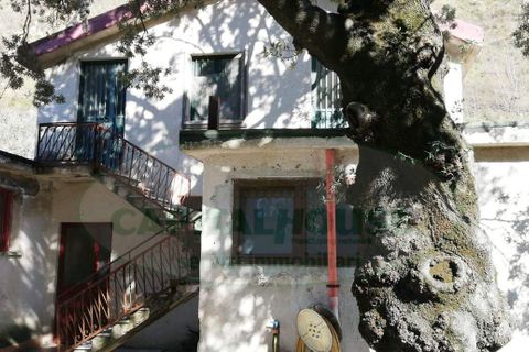 Tomt i Quadrelle, Avellino, Quadrelle - € 68 000 | Ref: 8732 - foto 2