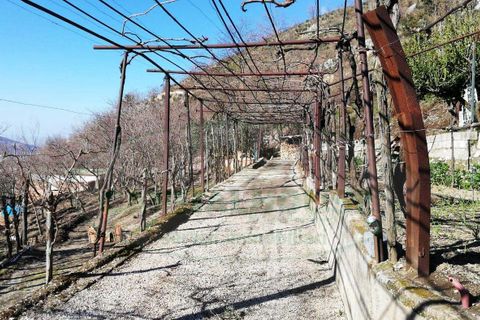 Tomt i Quadrelle, Avellino, Quadrelle - € 68 000 | Ref: 8732 - foto 4