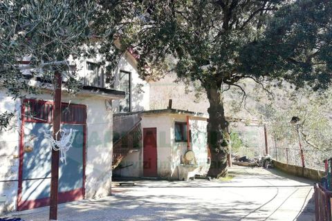Tomt i Quadrelle, Avellino, Quadrelle - € 68 000 | Ref: 8732 - foto 5