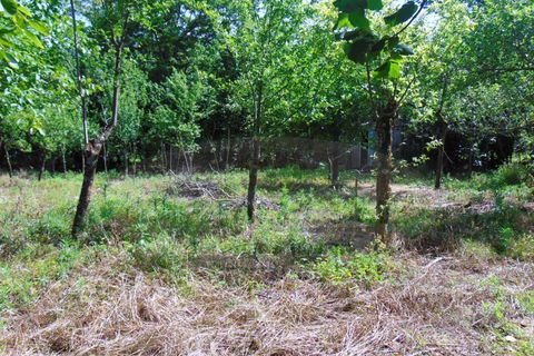 Terra a Baiano, Avellino, Baiano - € 15.000 | Ref: 190267 - foto 2