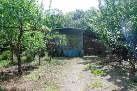 Terra a Baiano, Avellino, Baiano - € 15.000 | Ref: 190267 - foto 3