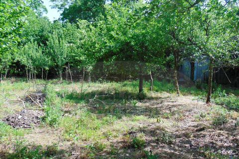 Terra a Baiano, Avellino, Baiano - € 15.000 | Ref: 190267 - foto 4