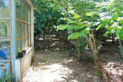 Terra a Baiano, Avellino, Baiano - € 15.000 | Ref: 190267 - foto 5