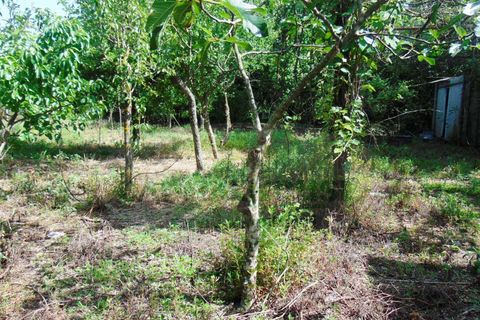 Terra a Baiano, Avellino, Baiano - € 15.000 | Ref: 190267 - foto 6