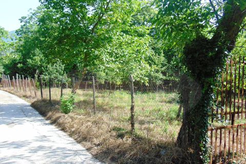 Terra a Baiano, Avellino, Baiano - € 15.000 | Ref: 190267 - foto 7