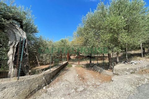 Helårsgrund i Avella, Avellino, Avella - € 110.000 | Ref: 459224 - foto 2