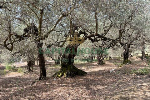 Helårsgrund i Avella, Avellino, Avella - € 110.000 | Ref: 459224 - foto 5