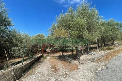 Helårsgrund i Avella, Avellino, Avella - € 110.000 | Ref: 459224 - foto 6