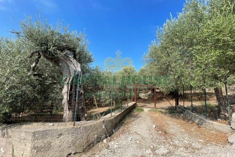 Helårsgrund i Avella, Avellino, Avella - € 110.000 | Ref: 459224 - foto 7