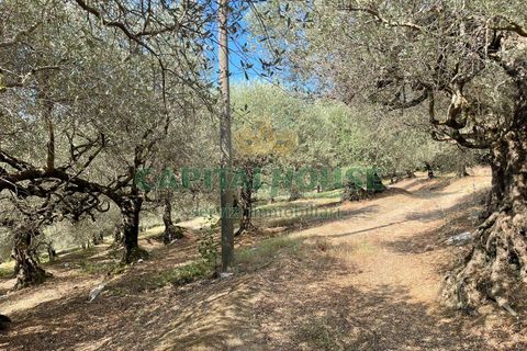 Helårsgrund i Avella, Avellino, Avella - € 110.000 | Ref: 459224 - foto 8