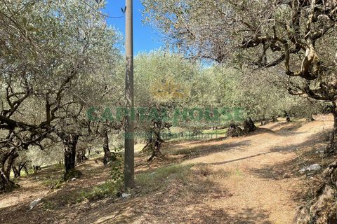 Helårsgrund i Avella, Avellino, Avella - € 110.000 | Ref: 459224 - foto 9