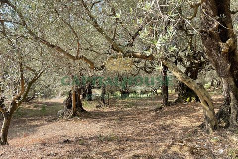 Helårsgrund i Avella, Avellino, Avella - € 110.000 | Ref: 459224 - foto 12