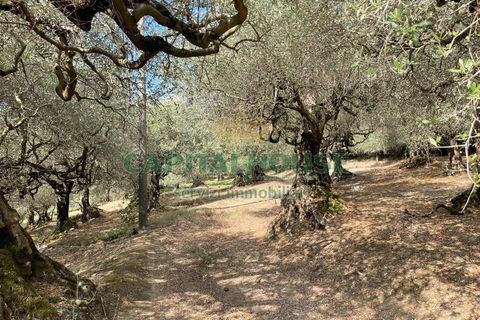 Helårsgrund i Avella, Avellino, Avella - € 110.000 | Ref: 459224 - foto 18