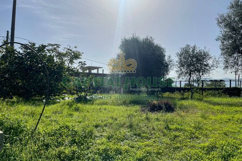 Helårsgrund i Avella, Avellino, Avella - € 33.000 | Ref: 459366 - foto 2