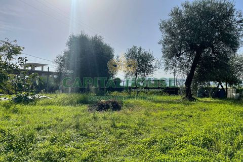 Helårsgrund i Avella, Avellino, Avella - € 33.000 | Ref: 459366 - foto 3