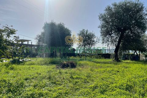 Helårsgrund i Avella, Avellino, Avella - € 33.000 | Ref: 459366 - foto 4