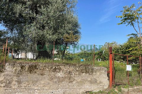 Helårsgrund i Avella, Avellino, Avella - € 33.000 | Ref: 459366 - foto 5
