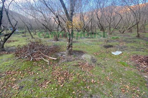 Helårsgrund i Avella, Avellino, Avella - € 25.000 | Ref: 459393 - foto 1