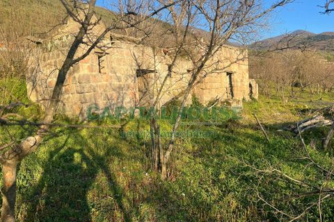 Terra a Sirignano, Avellino, Sirignano - € 85.000 | Ref: 459403 - foto 4