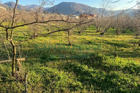 Terra a Sirignano, Avellino, Sirignano - € 85.000 | Ref: 459403 - foto 5
