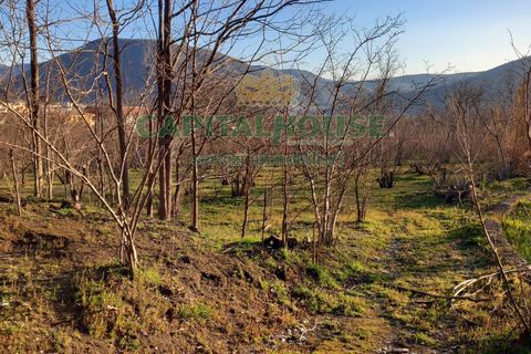 Terra a Sirignano, Avellino, Sirignano - € 85.000 | Ref: 459403 - foto 6