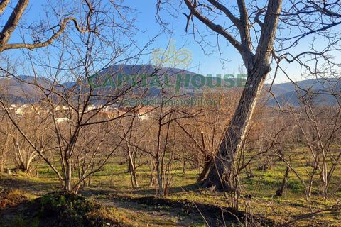 Terra a Sirignano, Avellino, Sirignano - € 85.000 | Ref: 459403 - foto 7