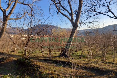 Terra a Sirignano, Avellino, Sirignano - € 85.000 | Ref: 459403 - foto 8