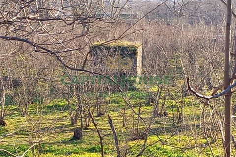 Terra a Sirignano, Avellino, Sirignano - € 85.000 | Ref: 459403 - foto 13