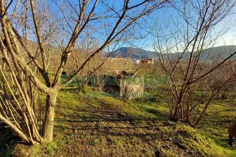 Terra a Sirignano, Avellino, Sirignano - € 85.000 | Ref: 459403 - foto 15